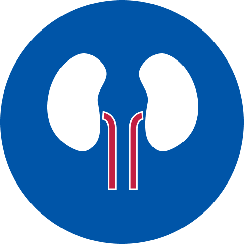 Nephrologist